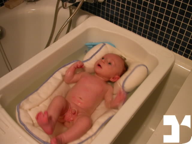 Parenti - Julian - 20041111 15.34 - cresce - 105-ALF.JPG